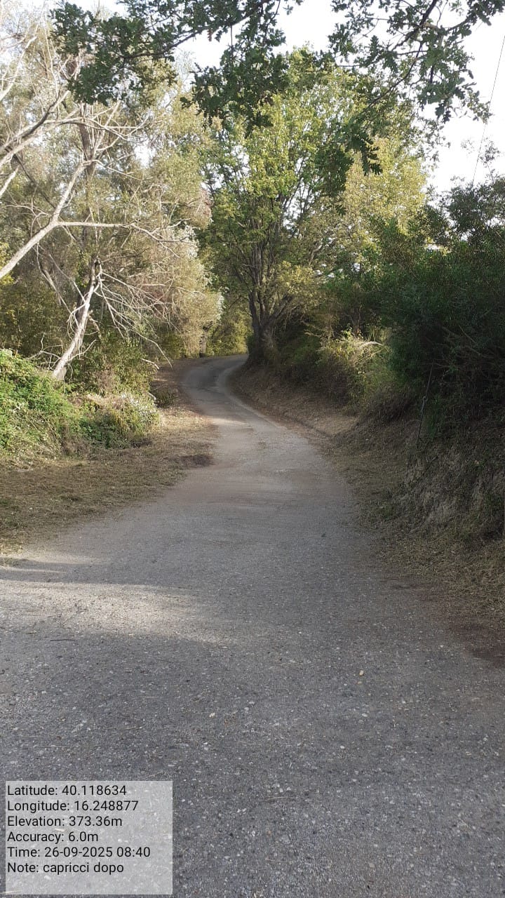 Galleria Fotografica Immagine