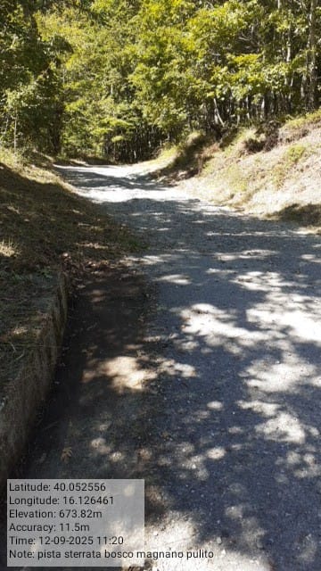 Galleria Fotografica Immagine