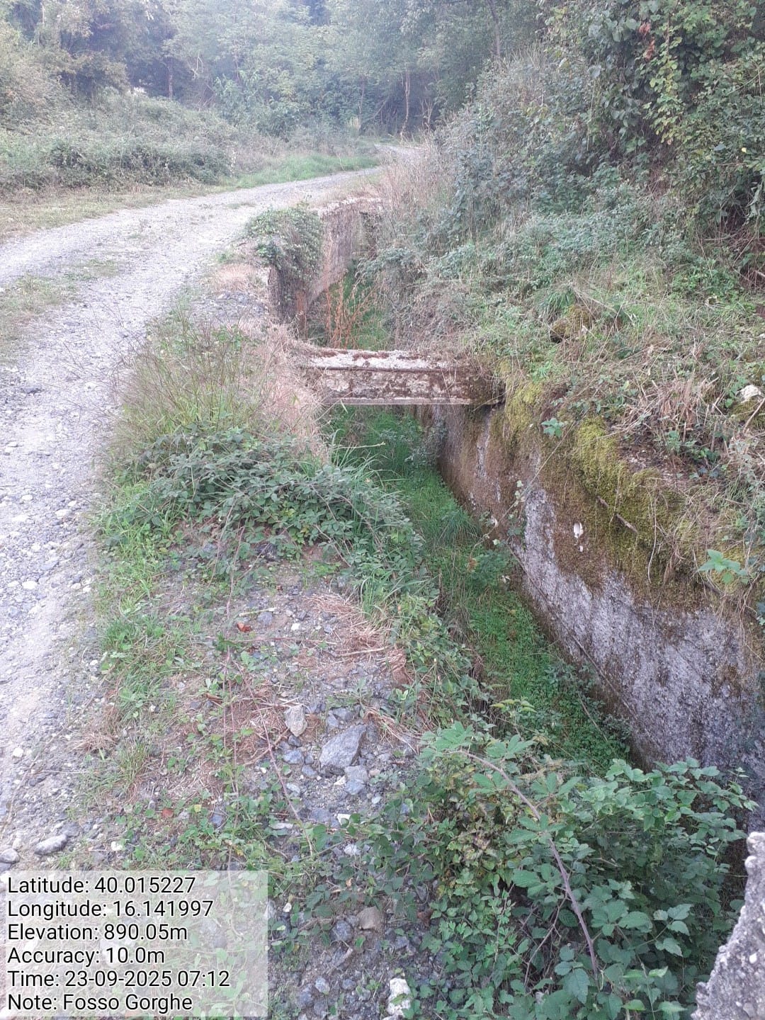 Galleria Fotografica Immagine