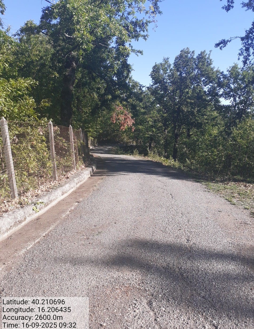 Galleria Fotografica Immagine