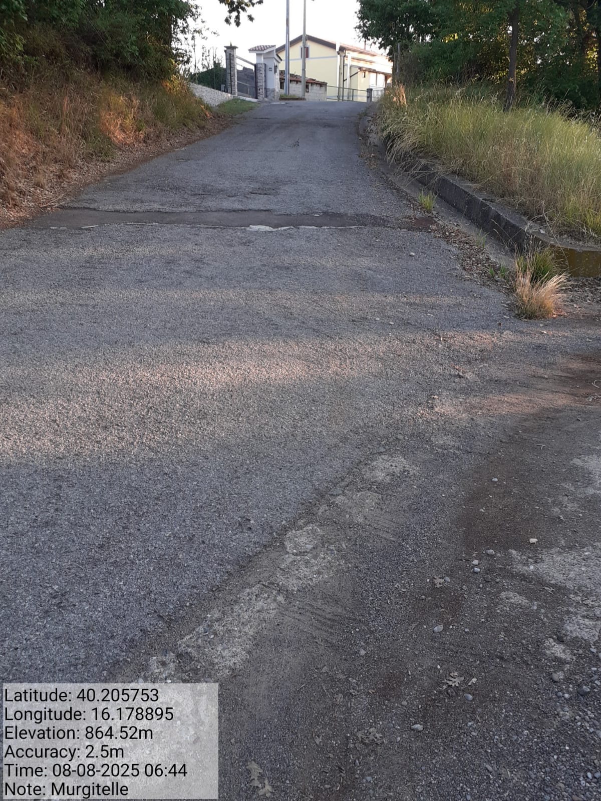 Galleria Fotografica Immagine