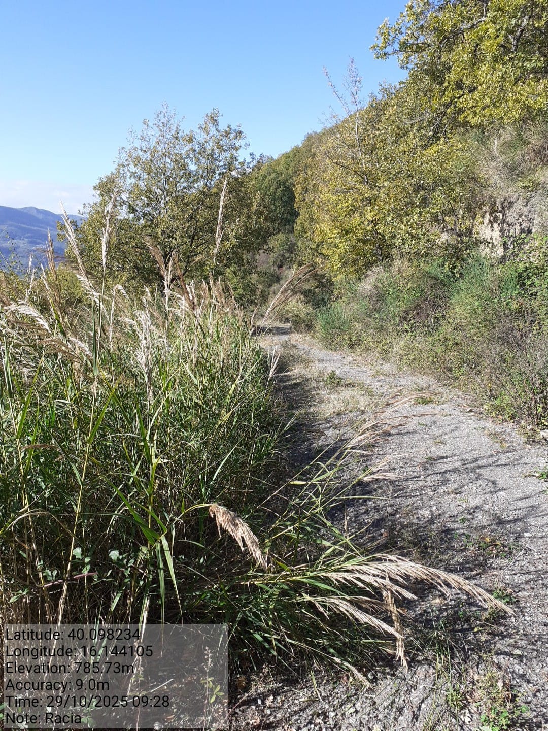 Galleria Fotografica Immagine