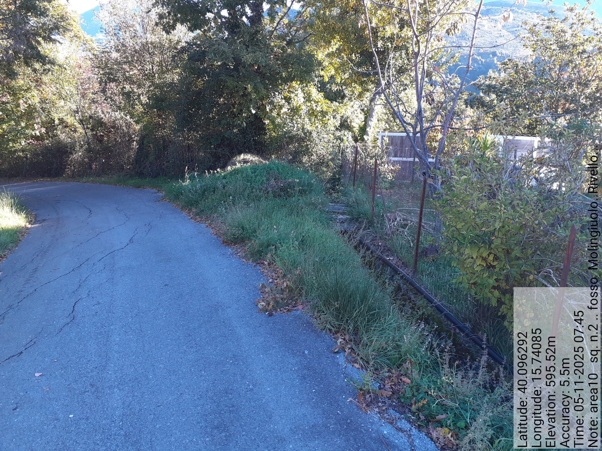 Galleria Fotografica Immagine