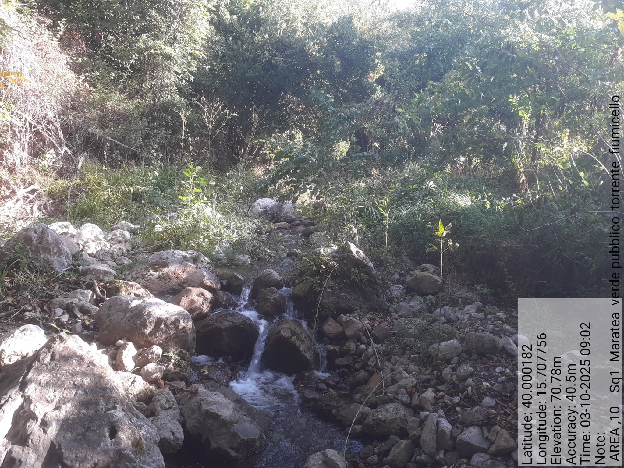 Galleria Fotografica Immagine