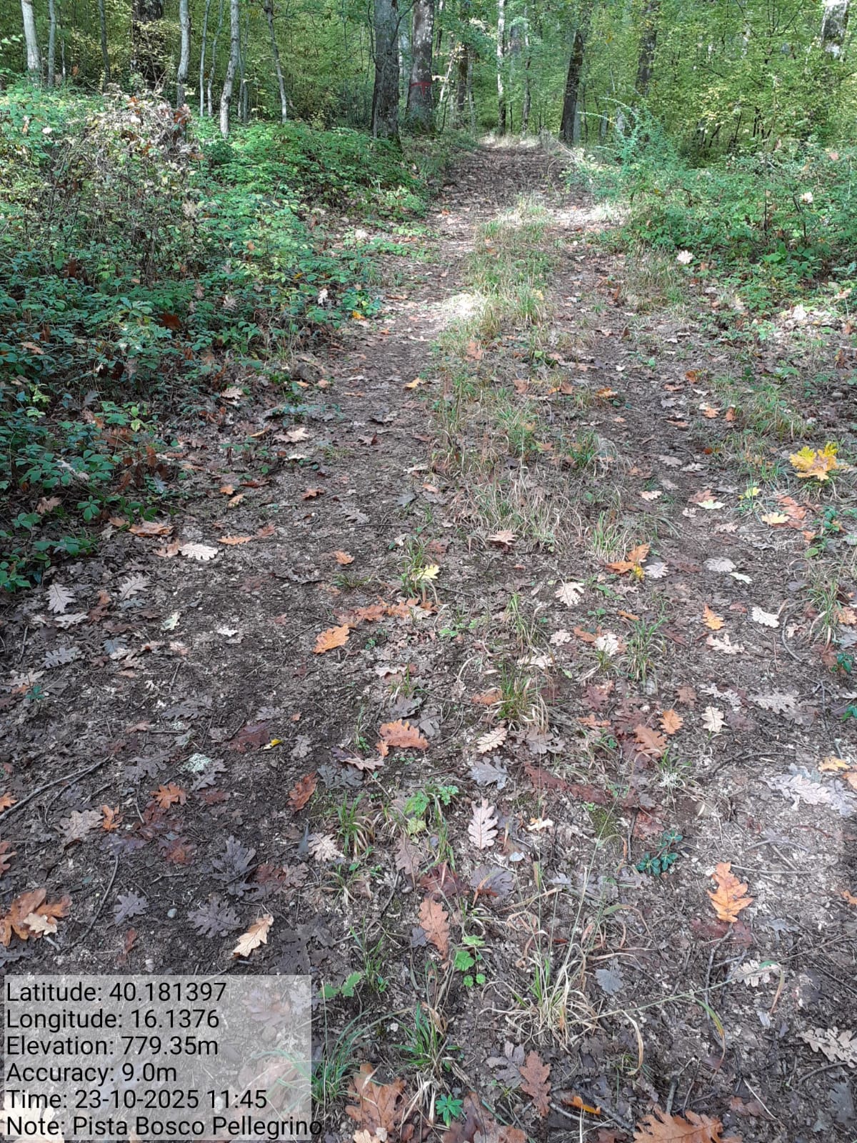 Galleria Fotografica Immagine