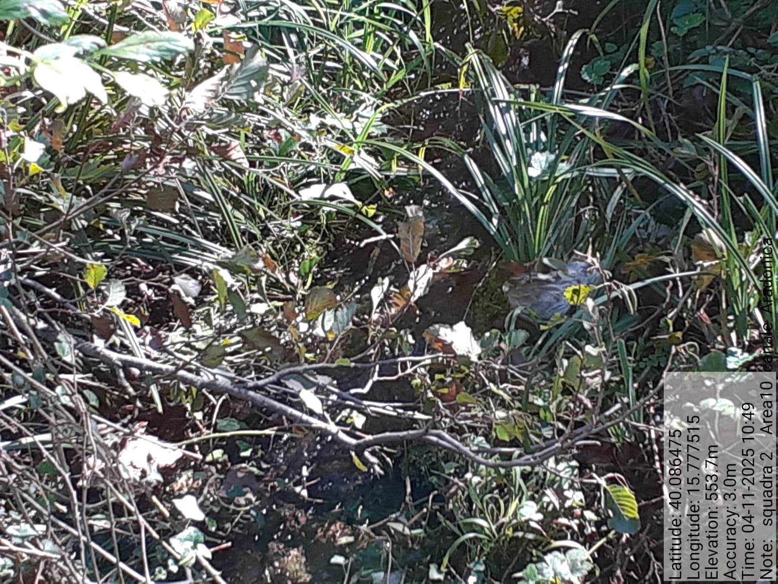 Galleria Fotografica Immagine