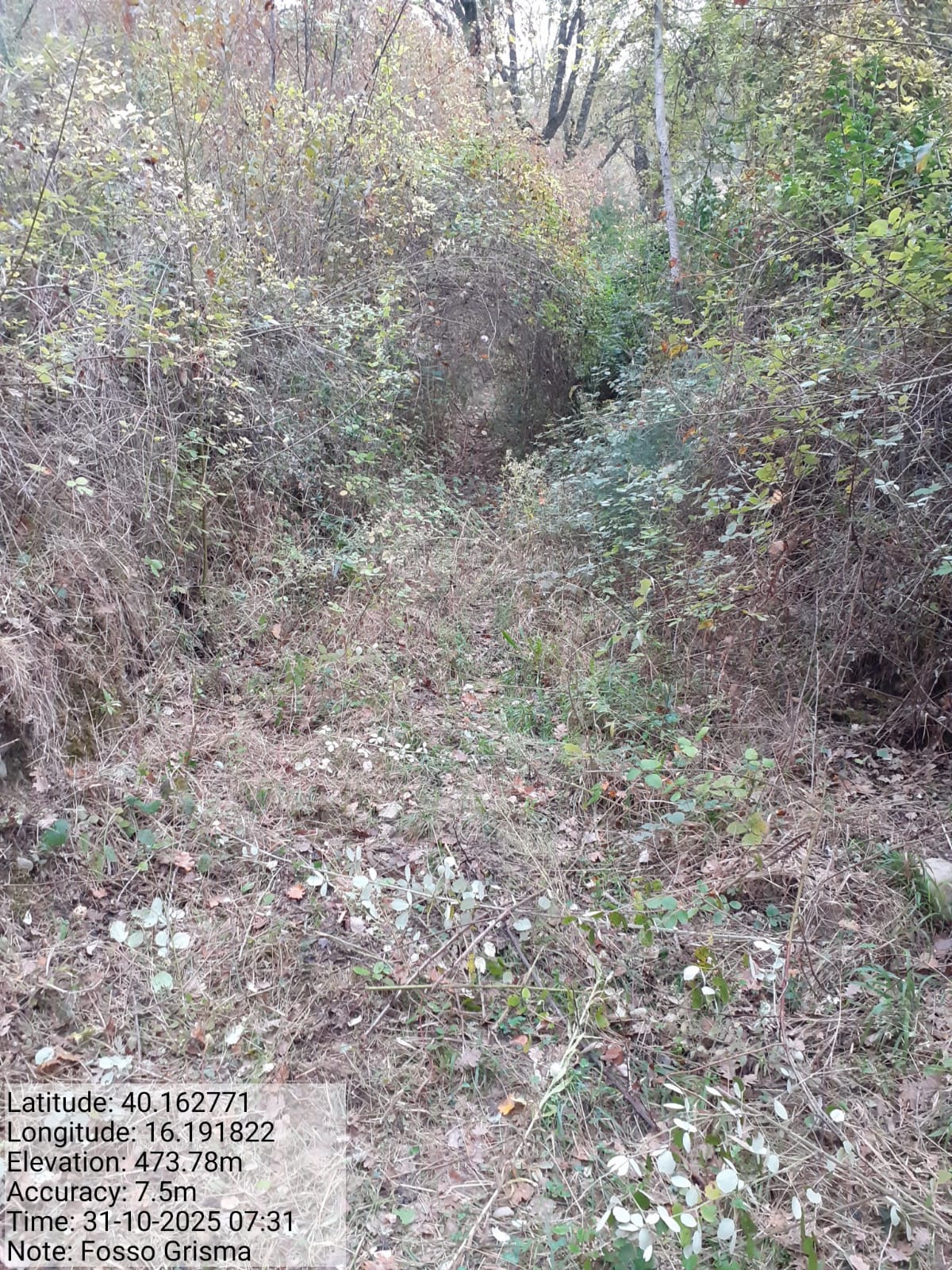 Galleria Fotografica Immagine