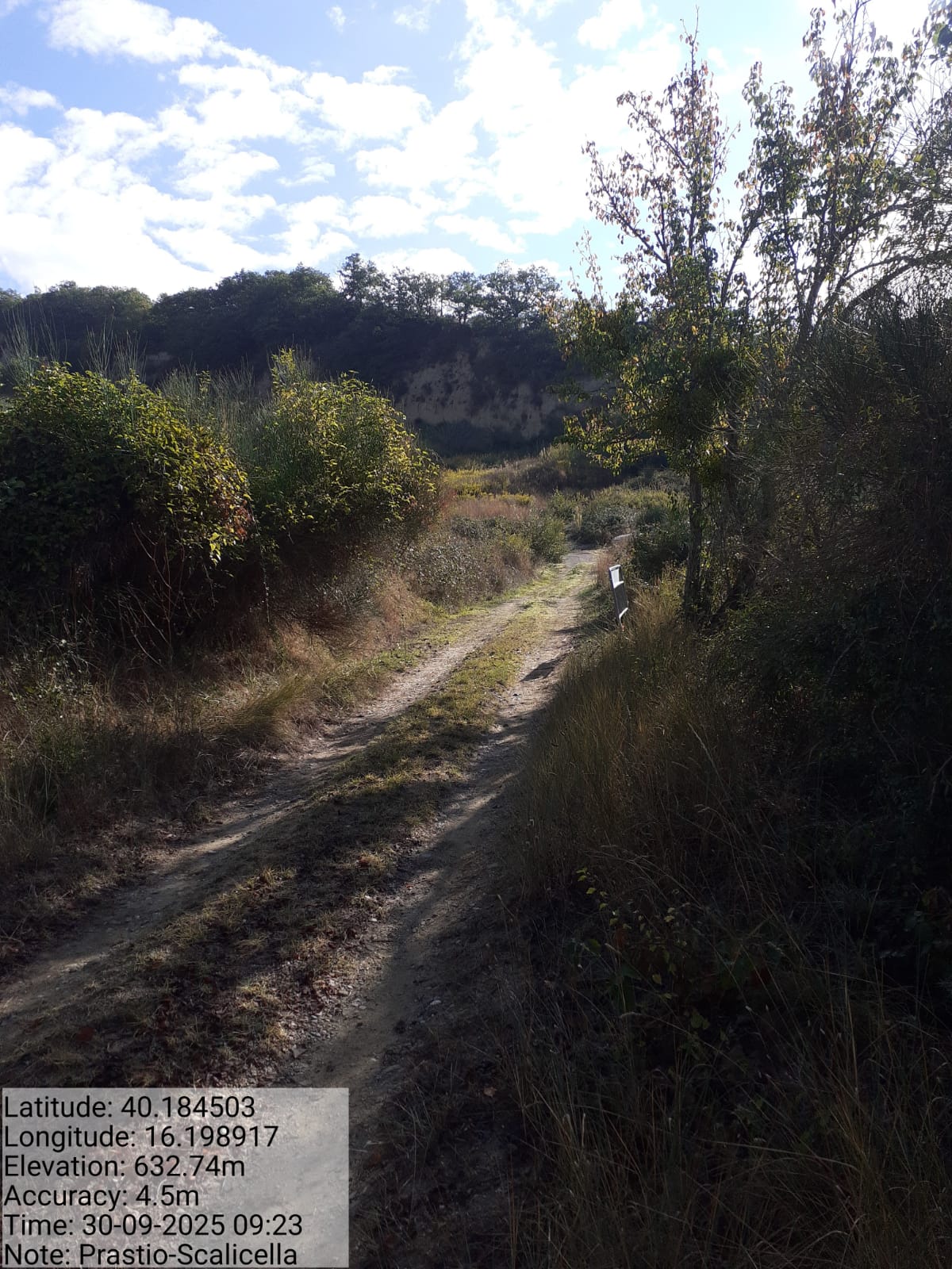 Galleria Fotografica Immagine