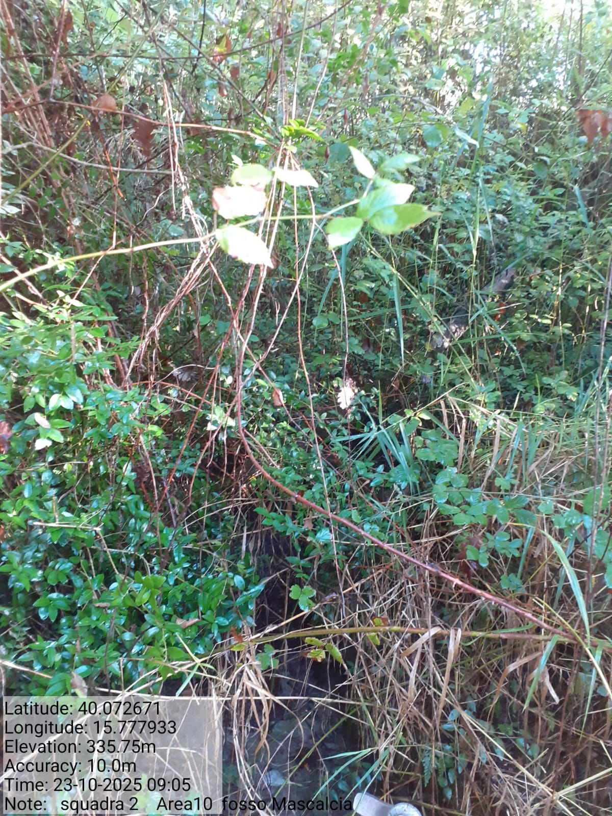 Galleria Fotografica Immagine