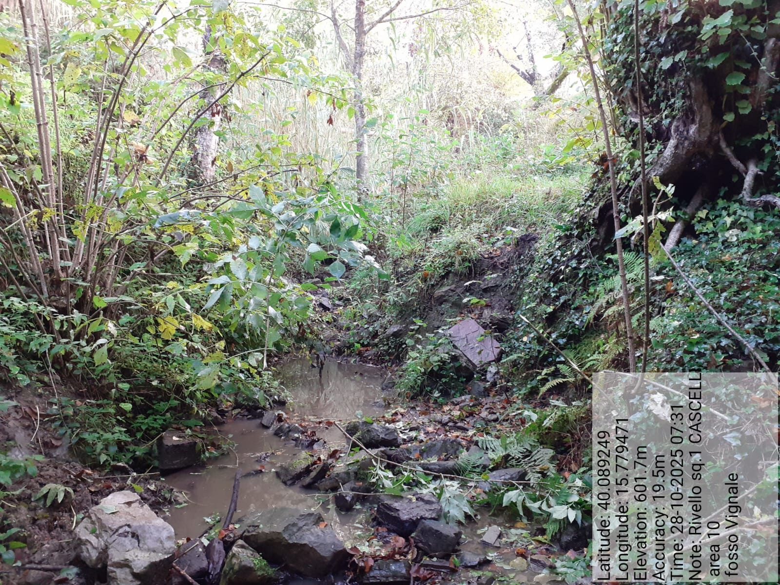 Galleria Fotografica Immagine