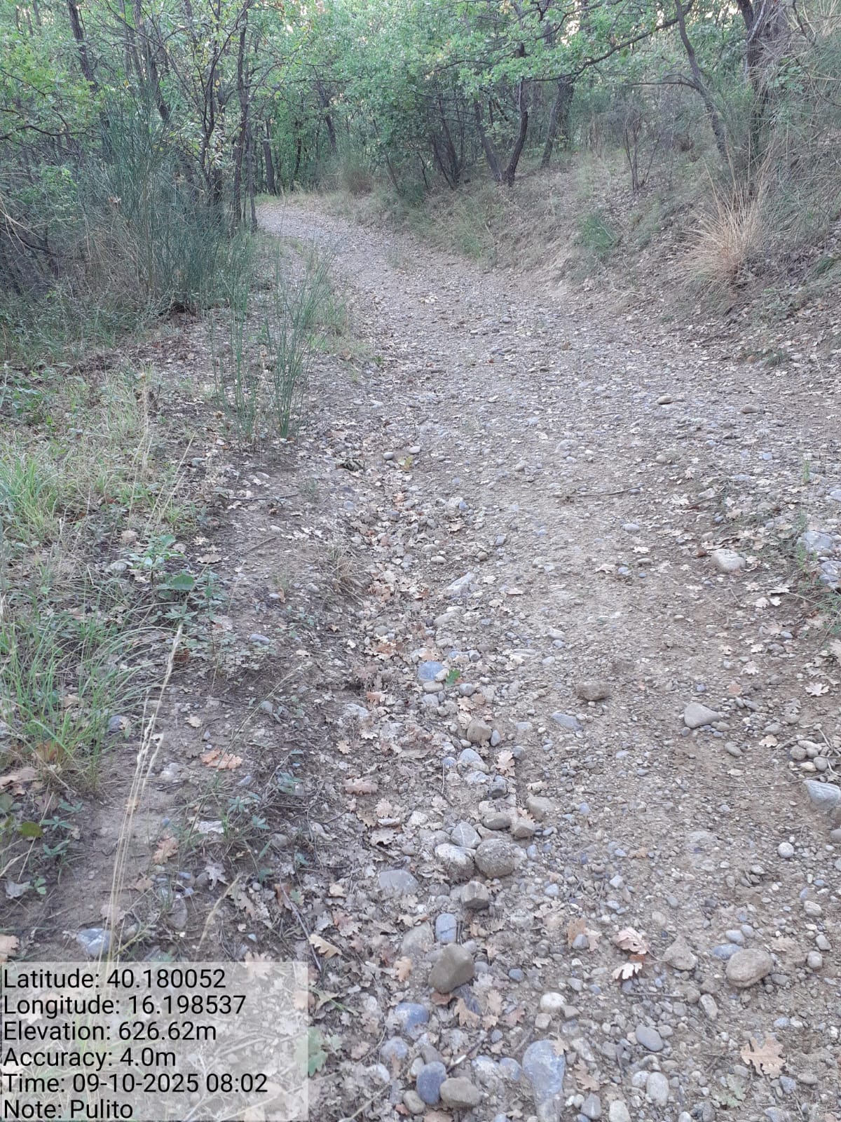 Galleria Fotografica Immagine