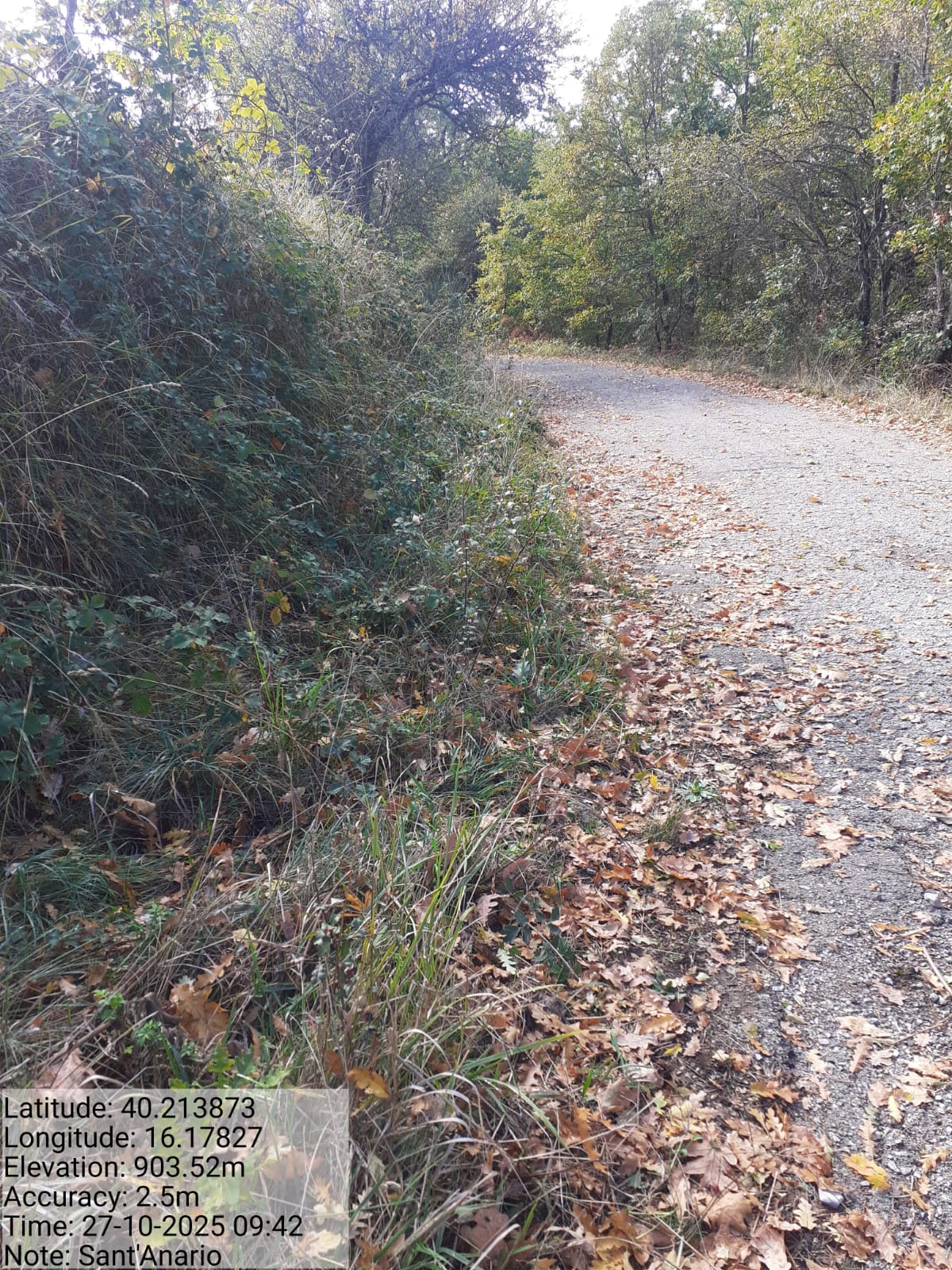 Galleria Fotografica Immagine