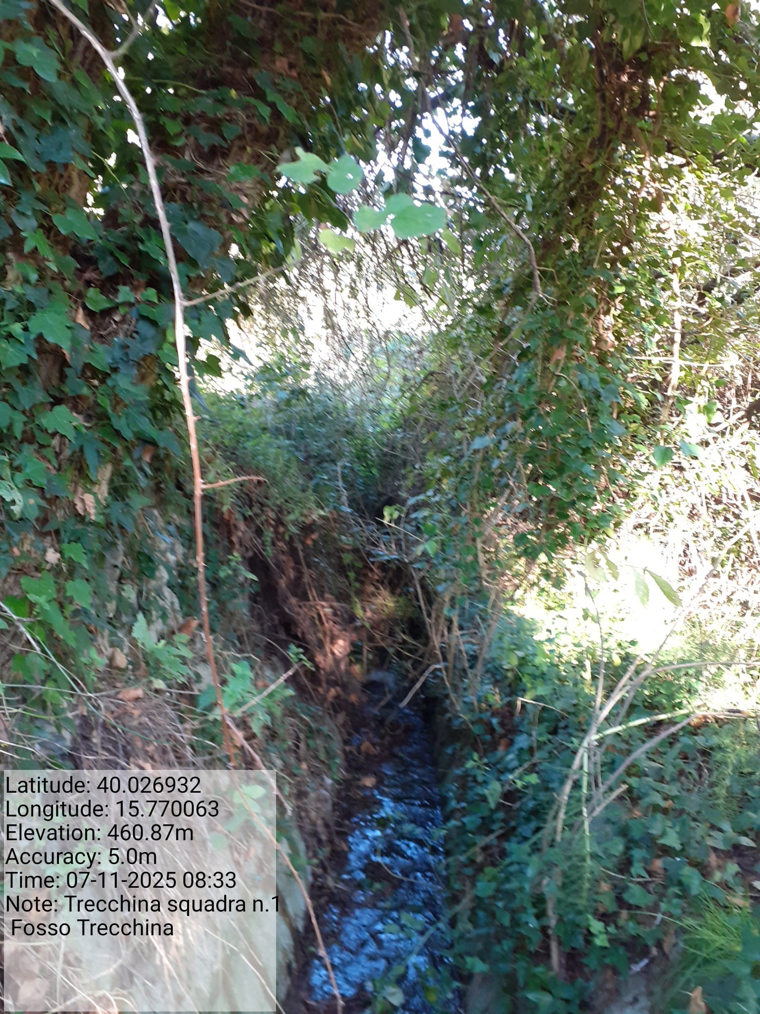 Galleria Fotografica Immagine