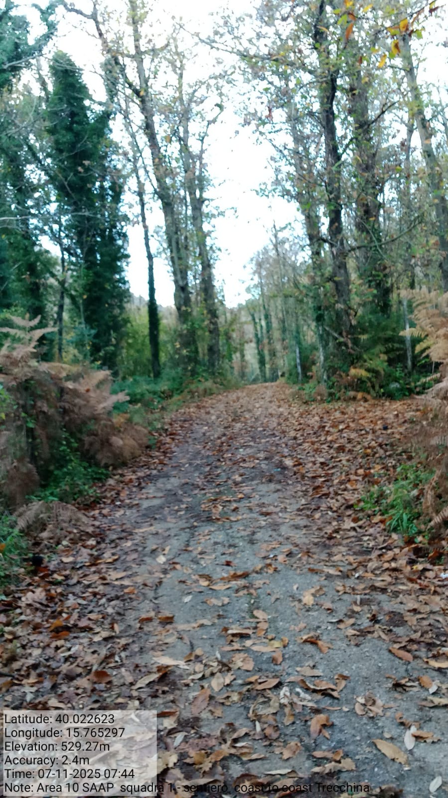 Galleria Fotografica Immagine