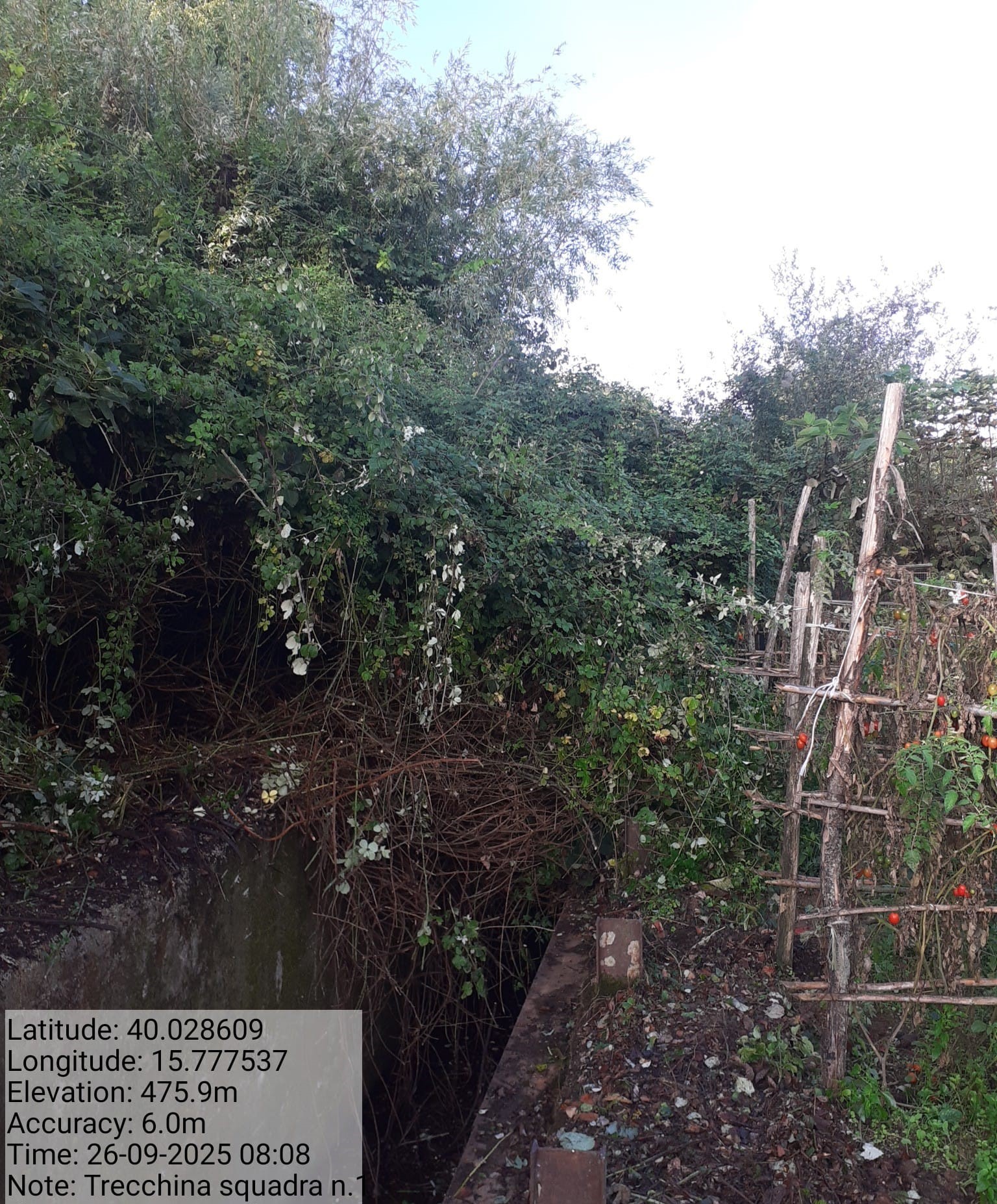 Galleria Fotografica Immagine