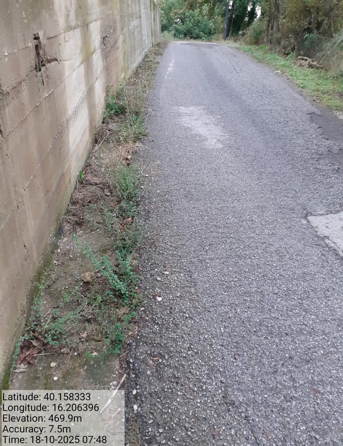 Galleria Fotografica Immagine