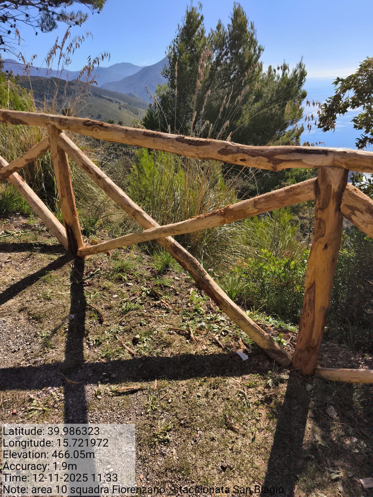 Galleria Fotografica Immagine