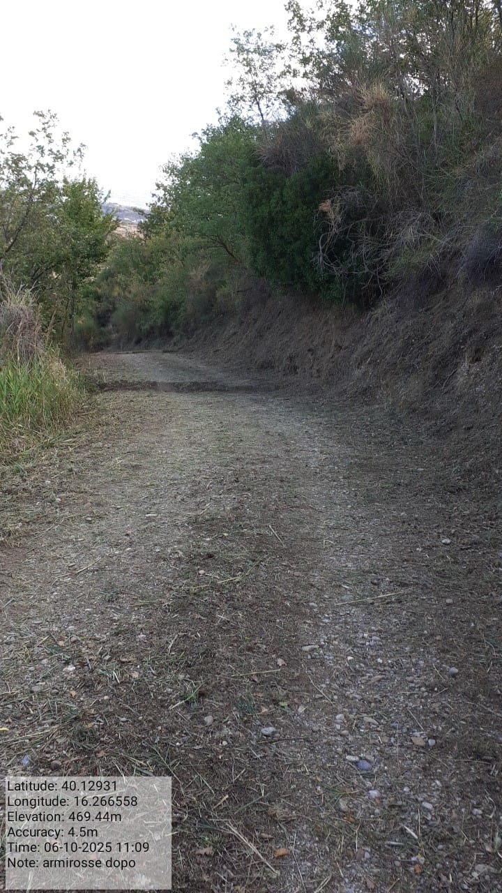 Galleria Fotografica Immagine