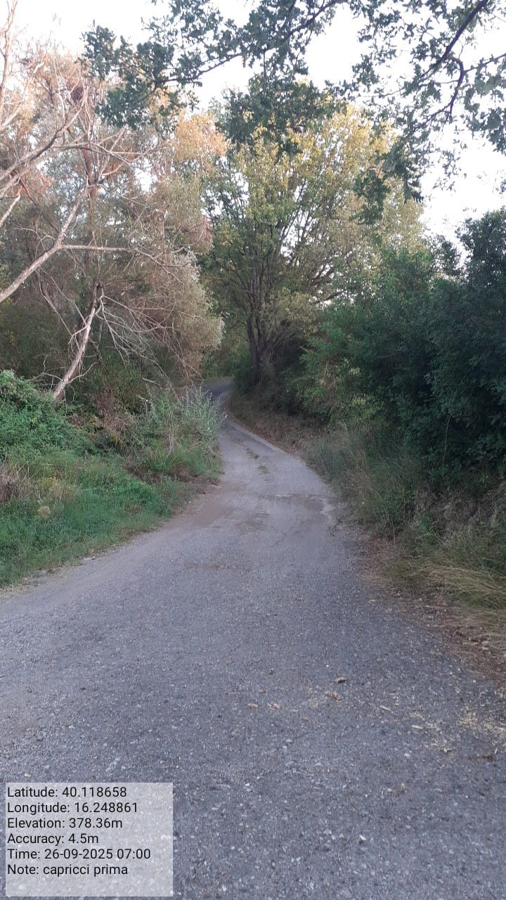 Galleria Fotografica Immagine