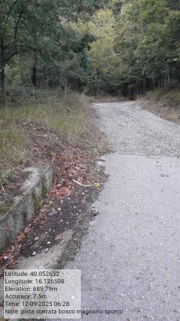 Galleria Fotografica Immagine