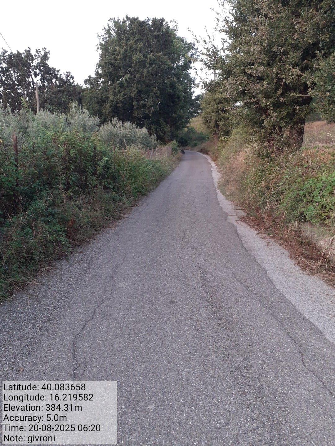 Galleria Fotografica Immagine