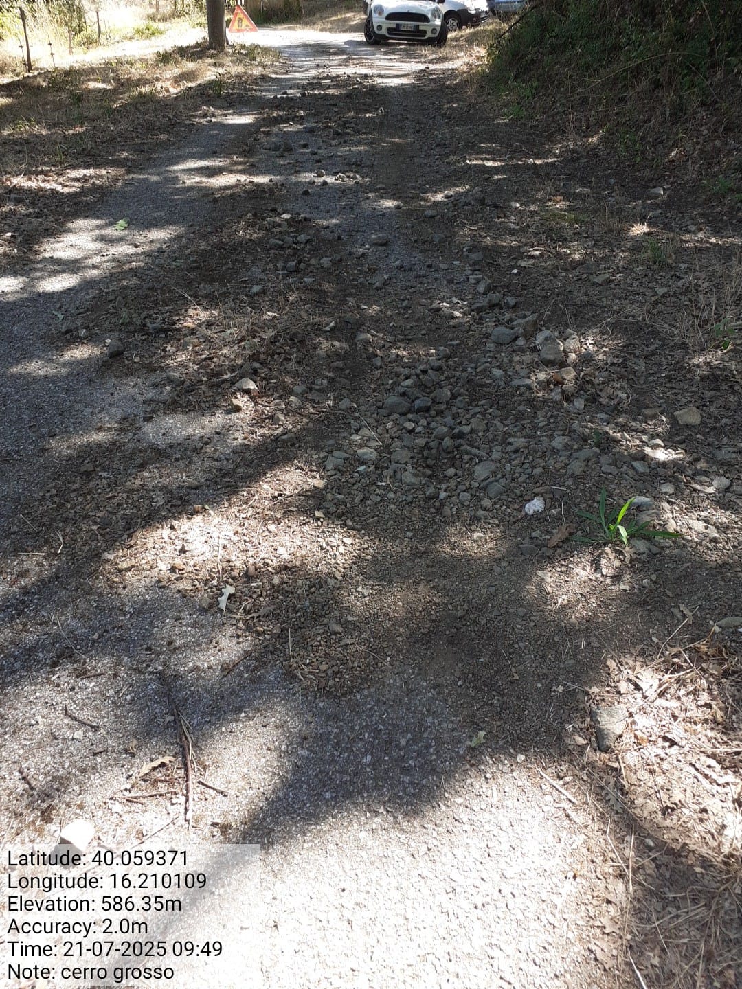 Galleria Fotografica Immagine