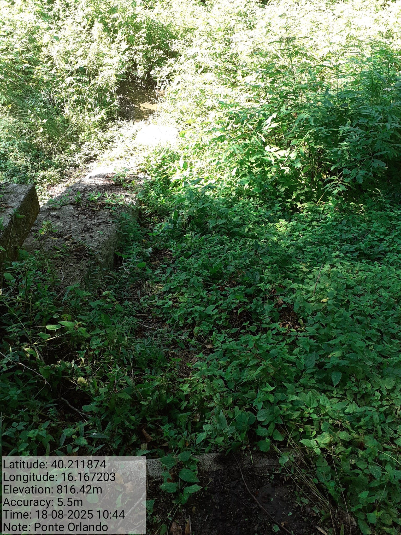 Galleria Fotografica Immagine