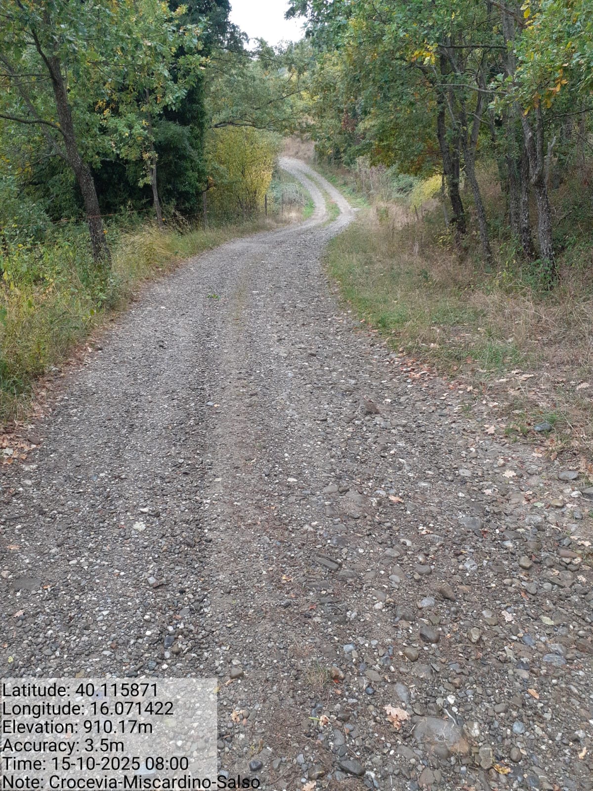 Galleria Fotografica Immagine