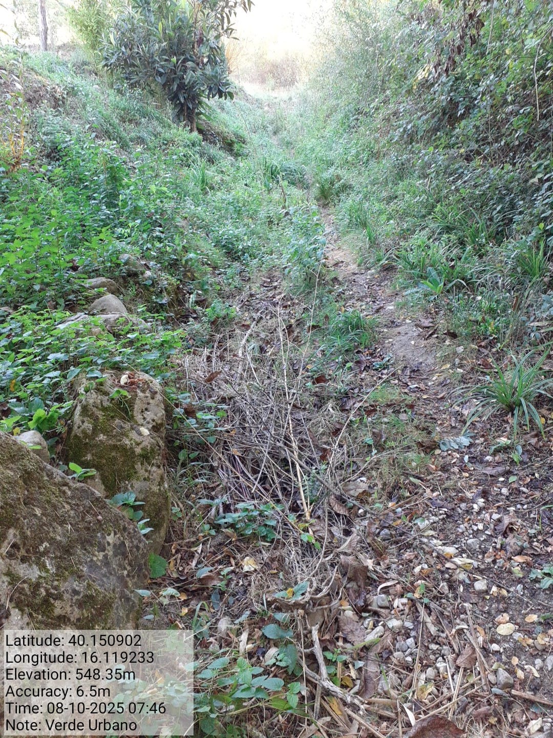 Galleria Fotografica Immagine