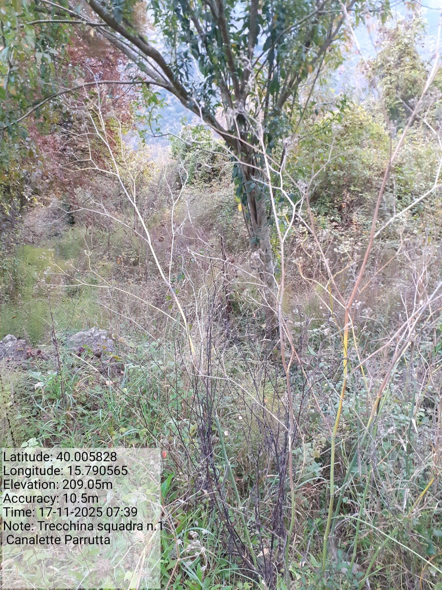 Galleria Fotografica Immagine