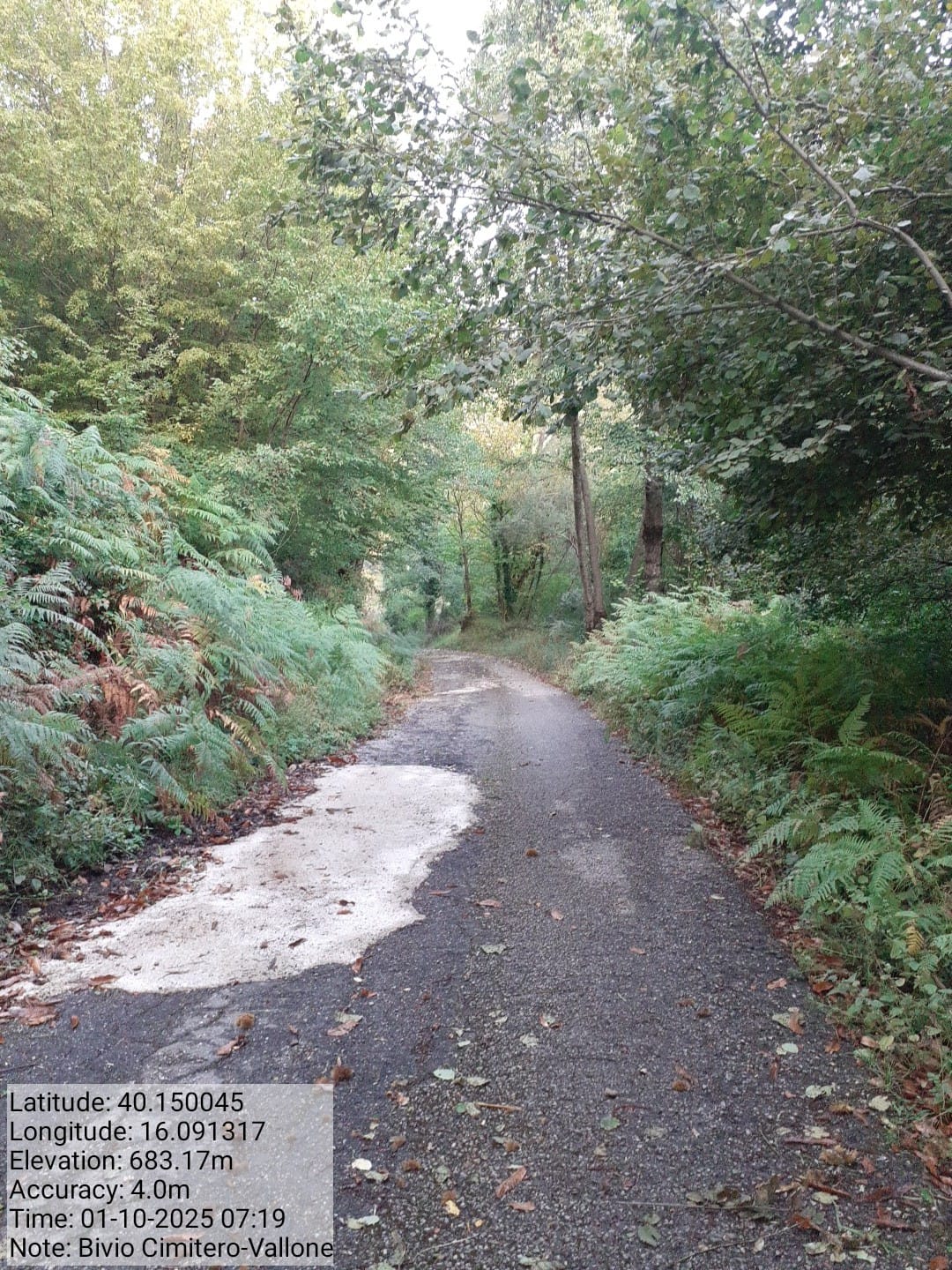 Galleria Fotografica Immagine