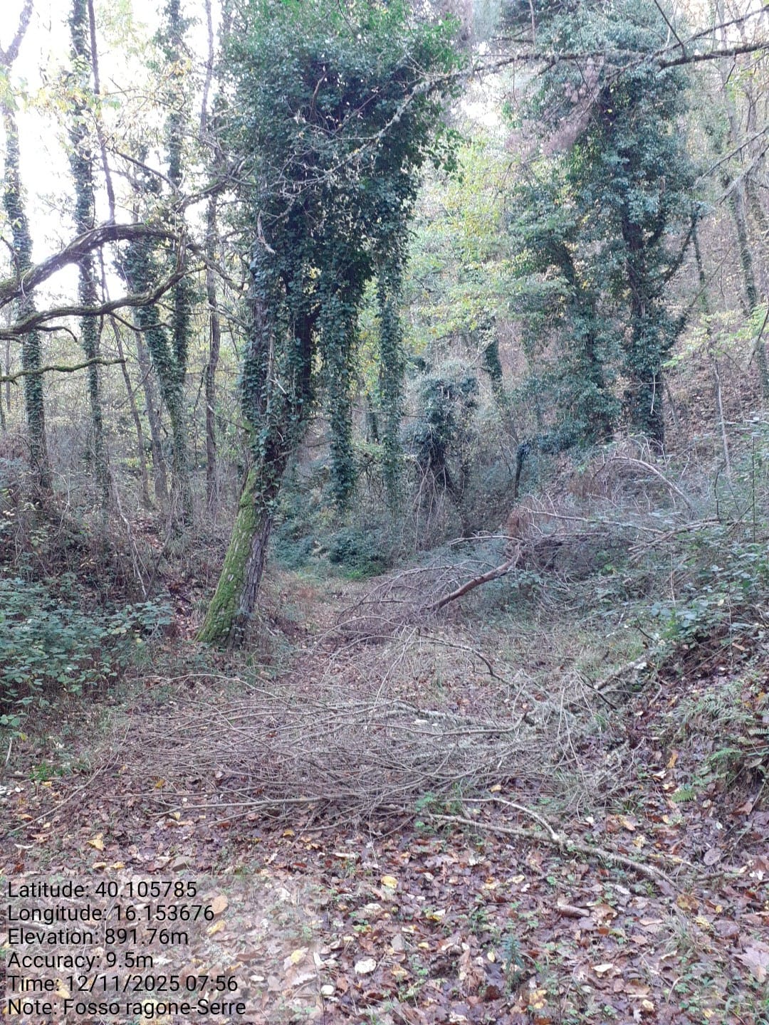 Galleria Fotografica Immagine