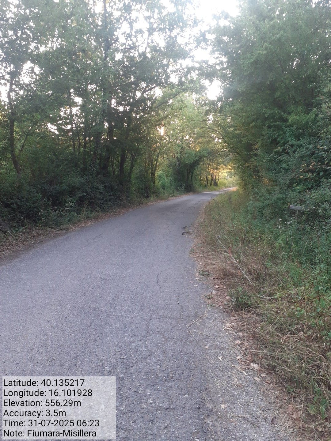 Galleria Fotografica Immagine