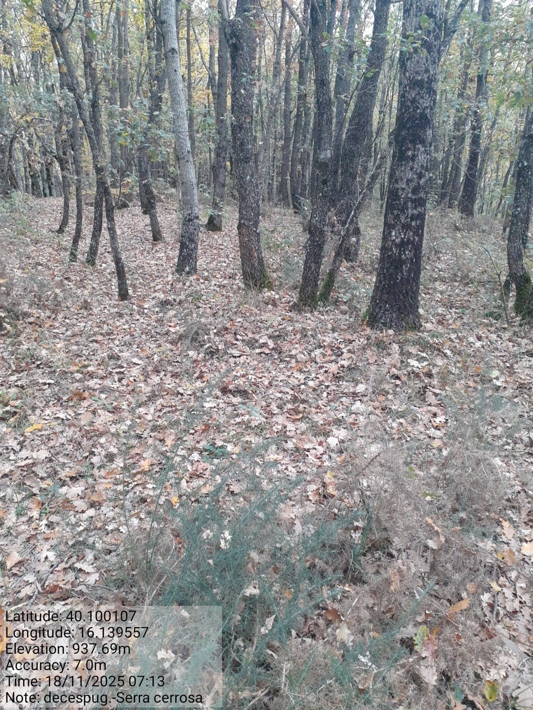 Galleria Fotografica Immagine