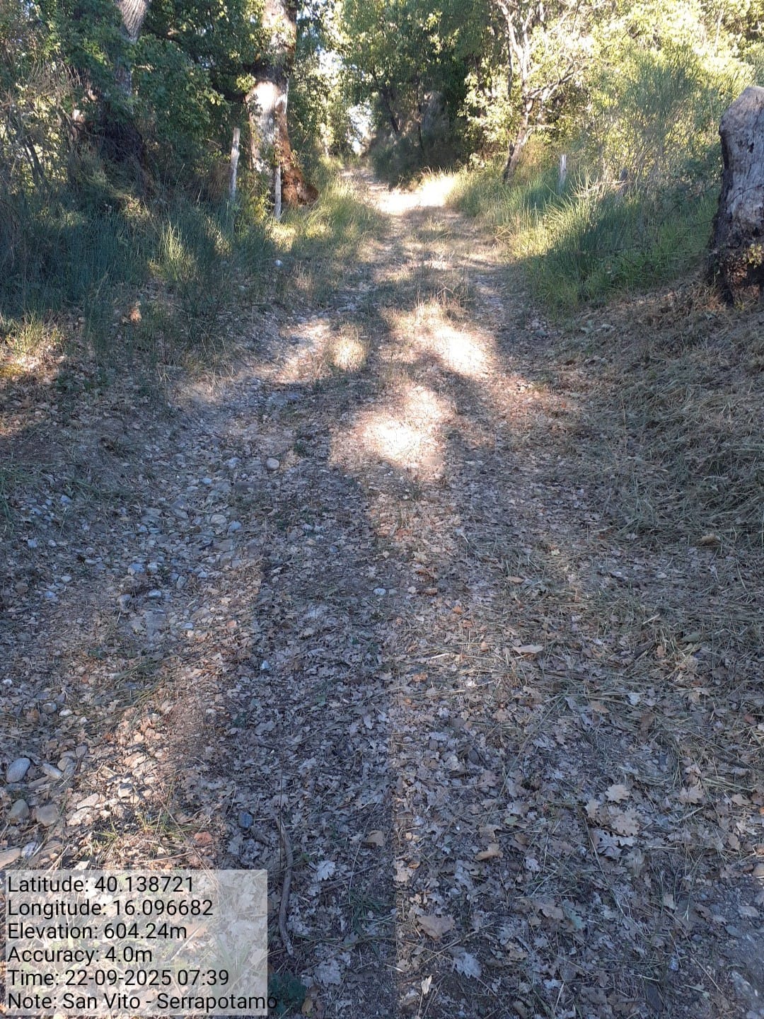 Galleria Fotografica Immagine