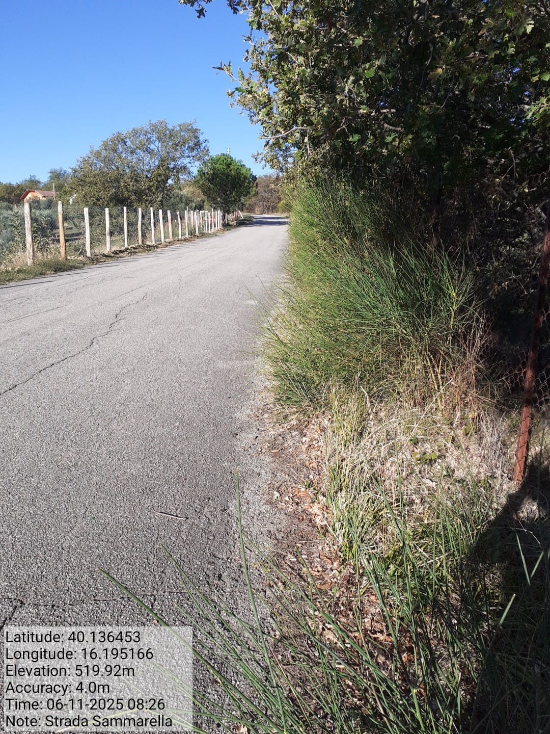 Galleria Fotografica Immagine