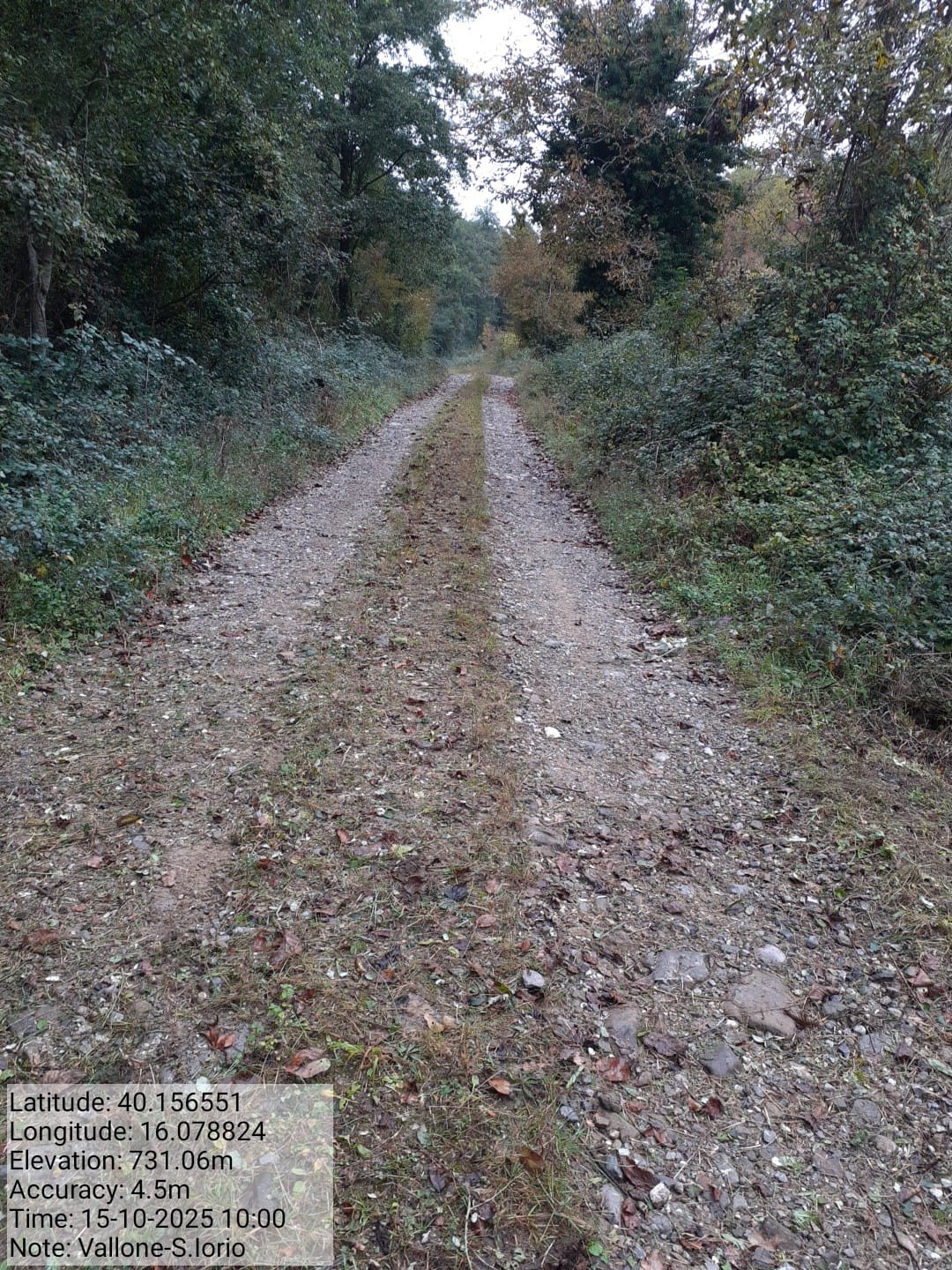 Galleria Fotografica Immagine