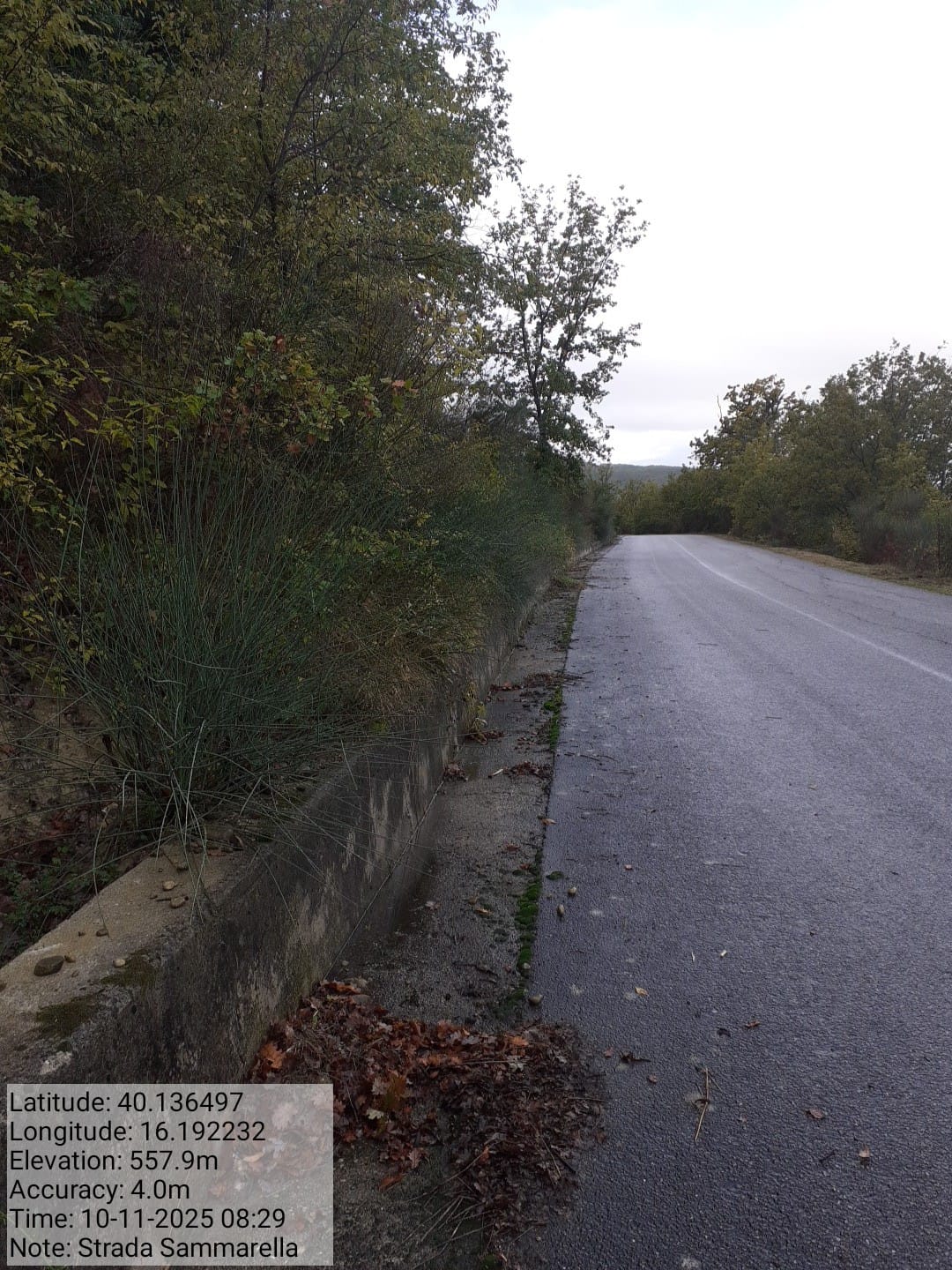 Galleria Fotografica Immagine