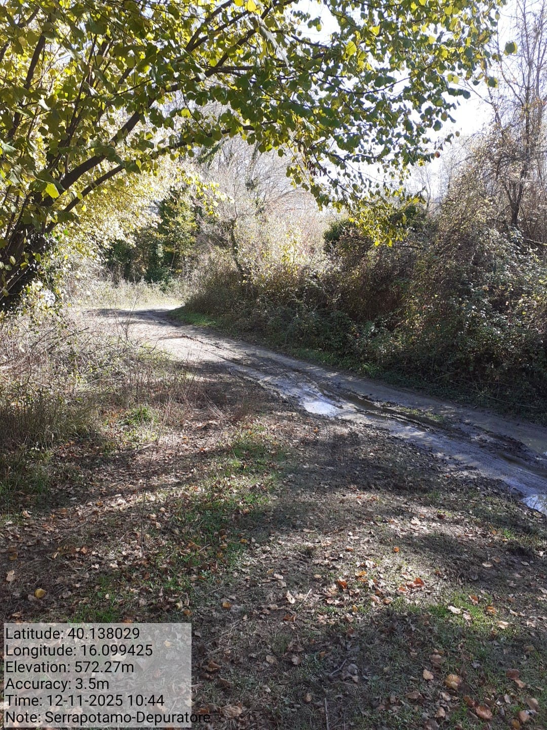 Galleria Fotografica Immagine