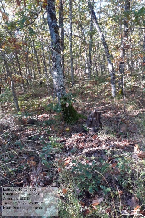 Galleria Fotografica Immagine