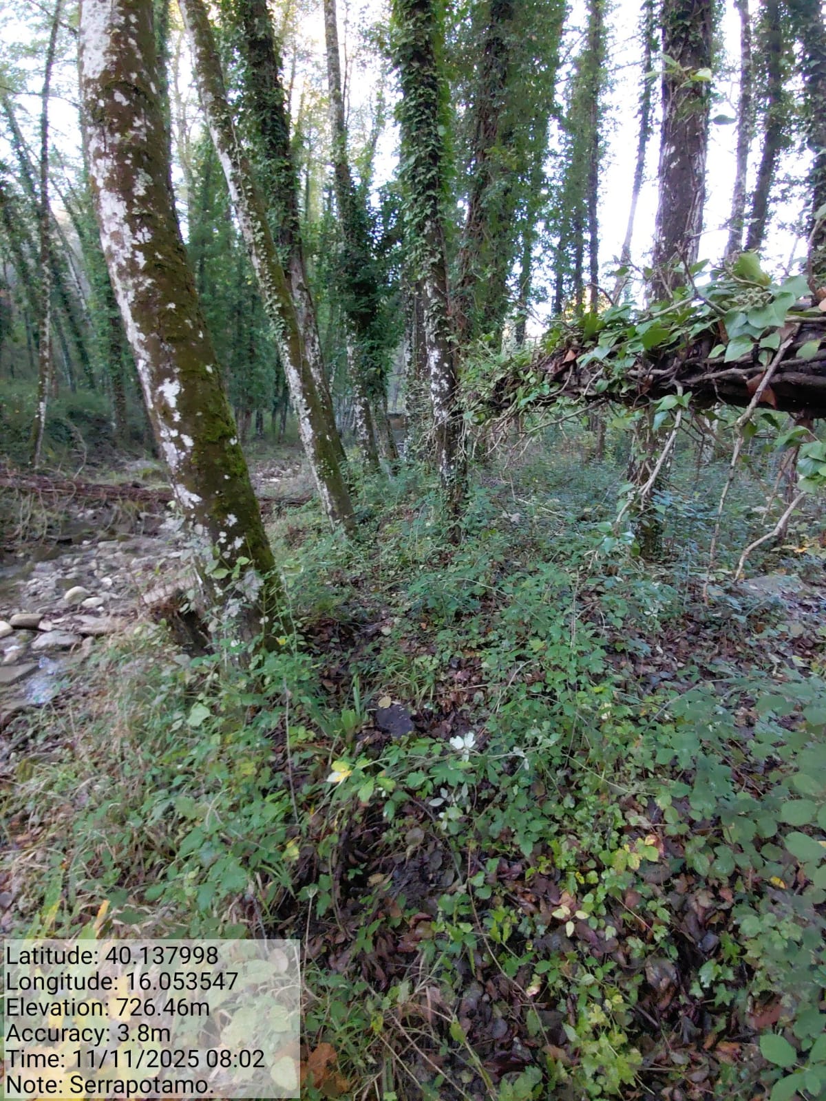 Galleria Fotografica Immagine