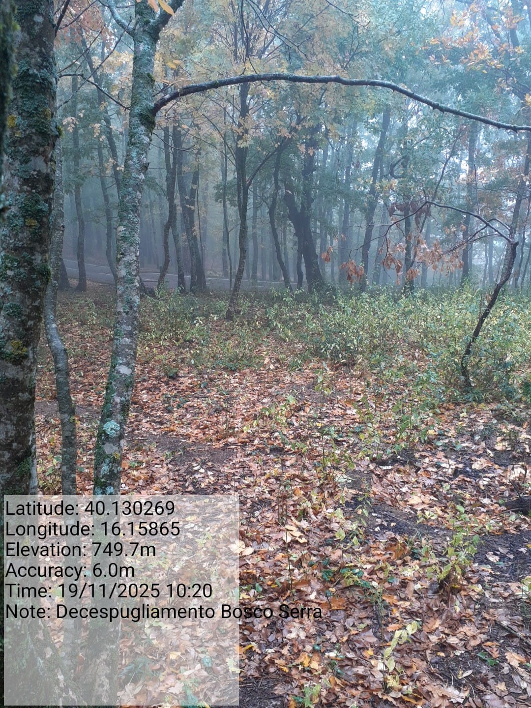 Galleria Fotografica Immagine