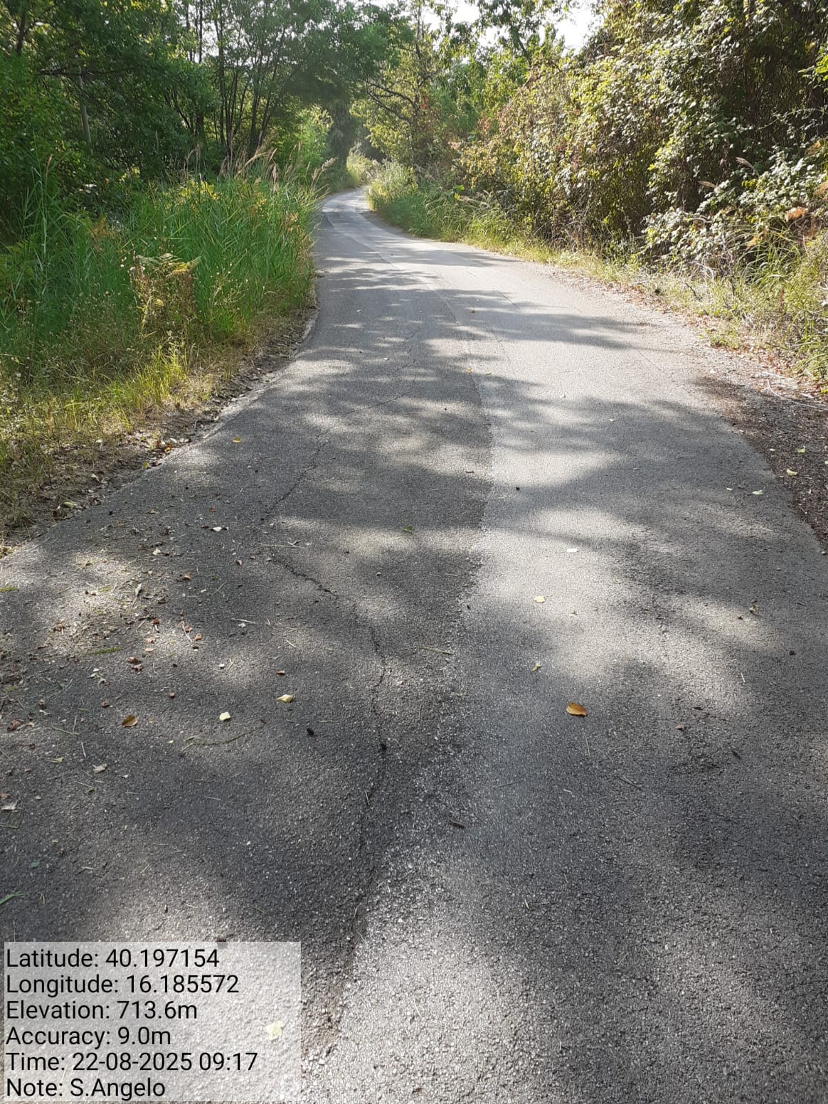 Galleria Fotografica Immagine