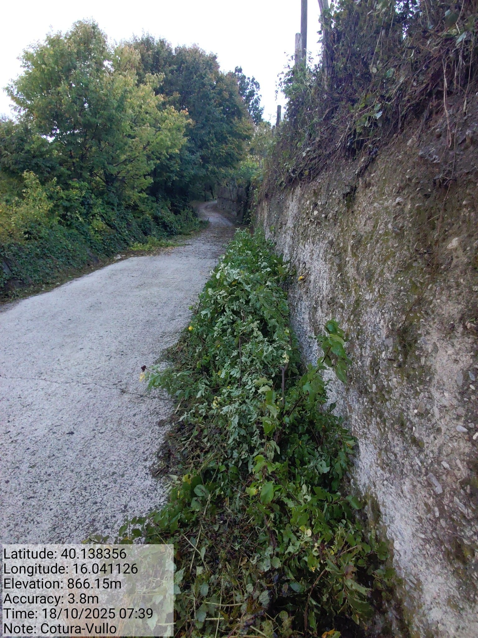 Galleria Fotografica Immagine