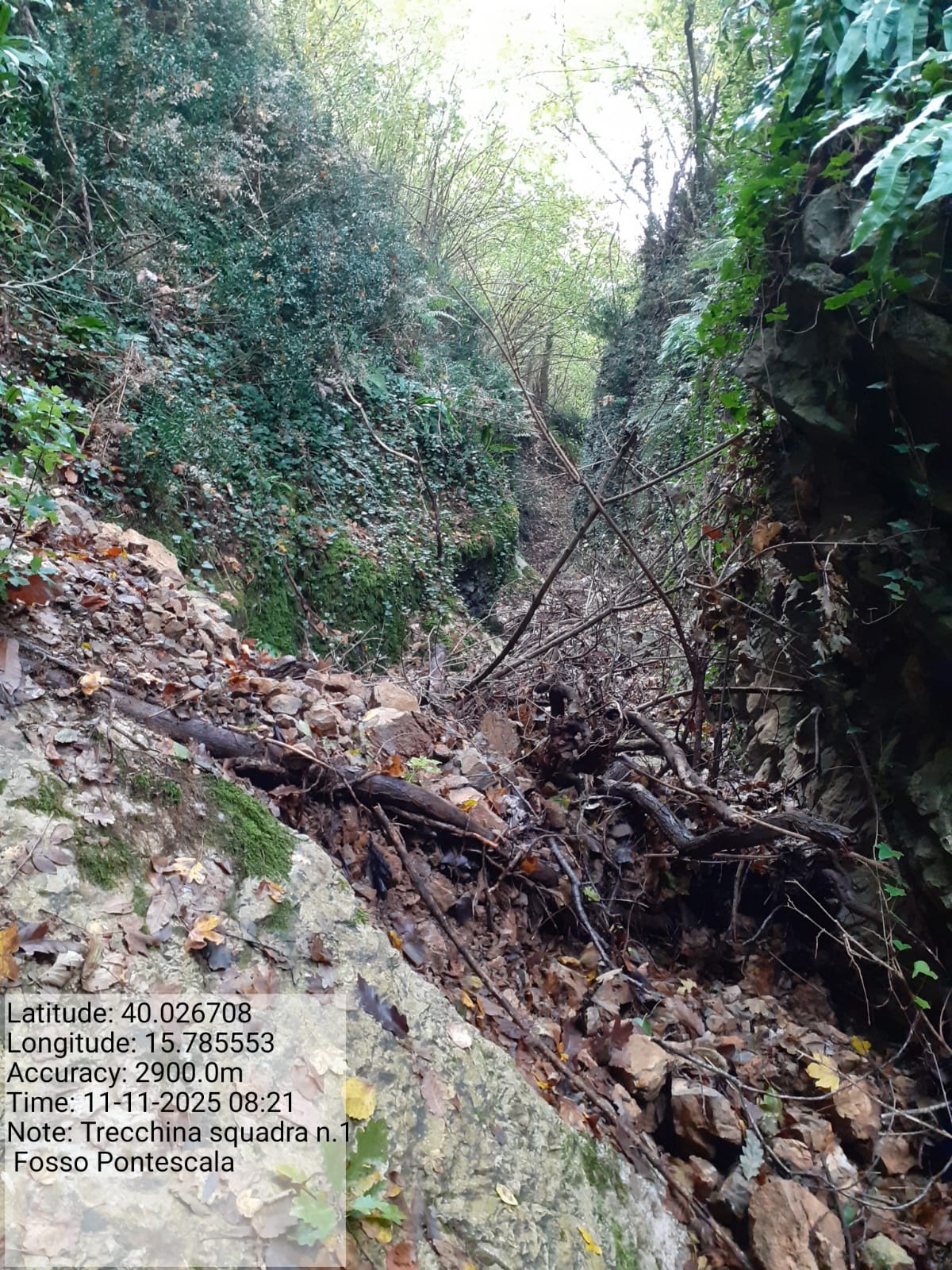 Galleria Fotografica Immagine