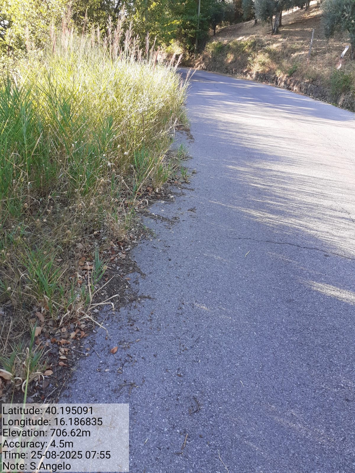 Galleria Fotografica Immagine