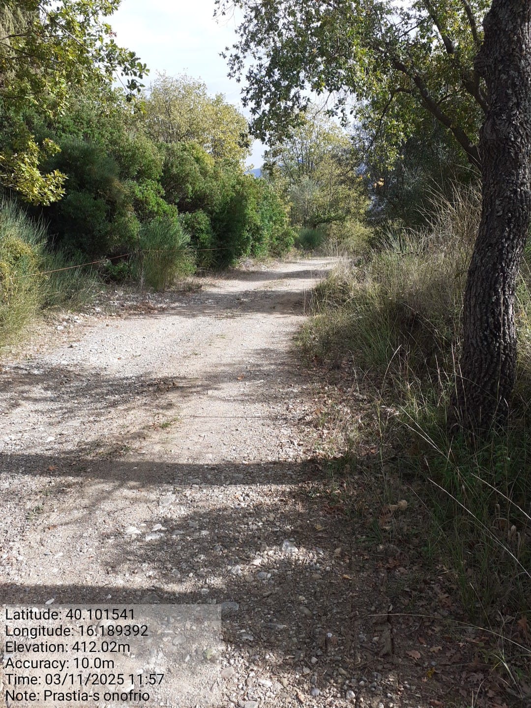 Galleria Fotografica Immagine