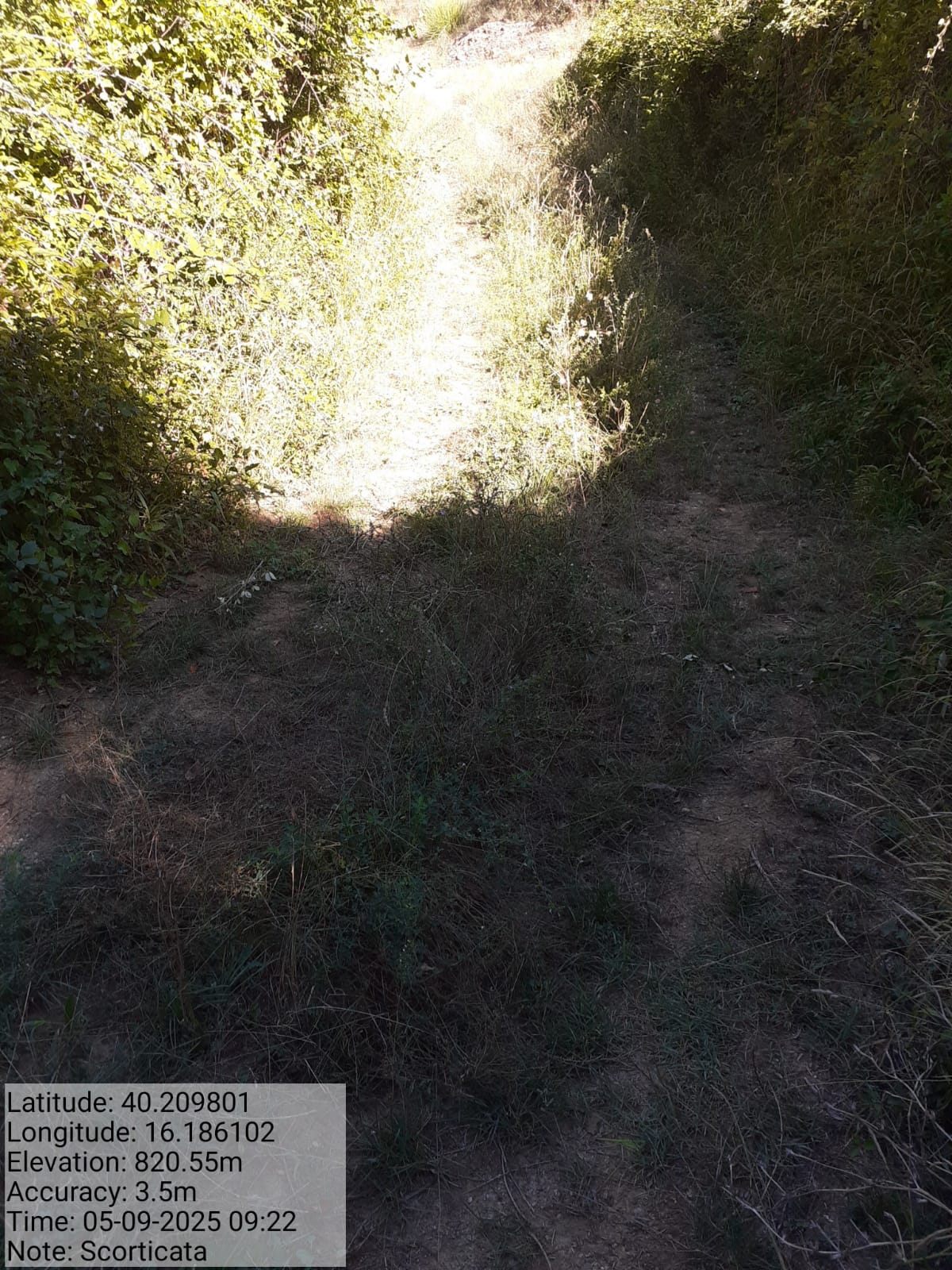 Galleria Fotografica Immagine