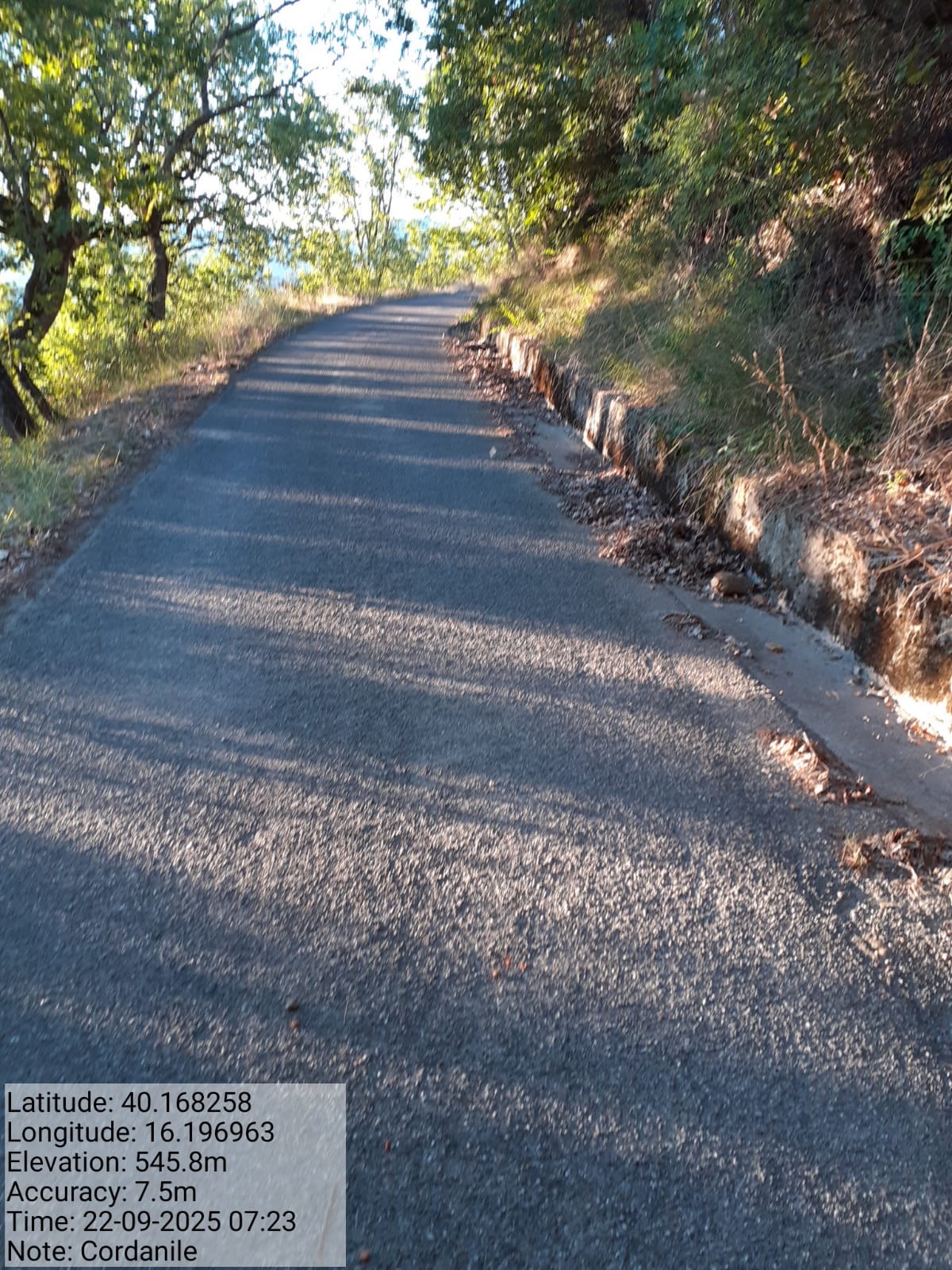 Galleria Fotografica Immagine