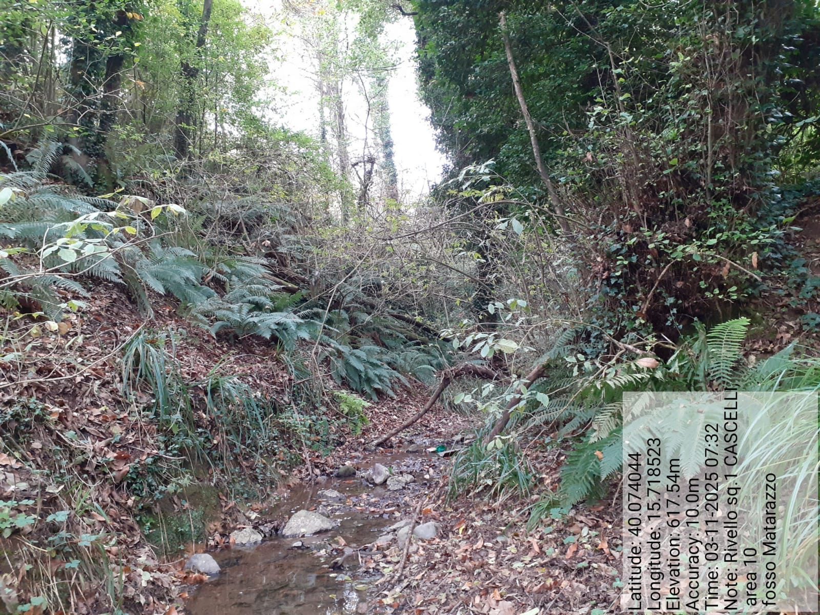 Galleria Fotografica Immagine